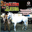 Recordando Un Amigo cover