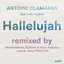 Hallelujah (Remixes, Pt. 1) cover