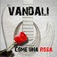 Come una rosa Albumcover