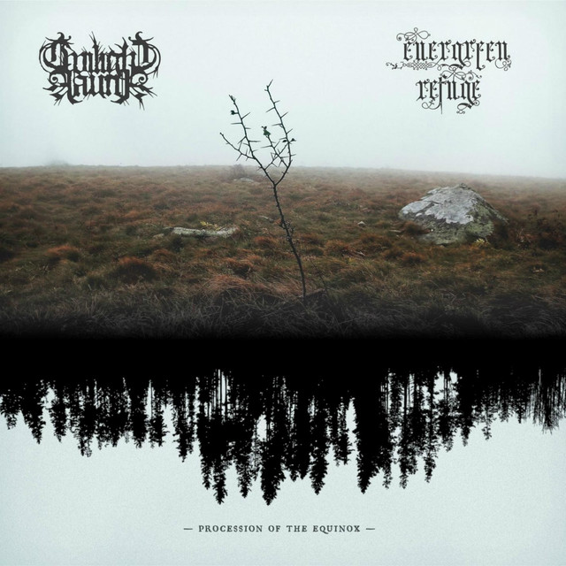 Twilight Fauna Photo