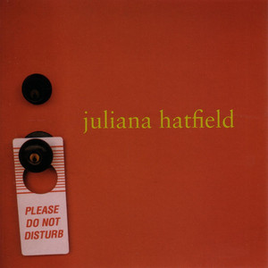 Please Do Not Disturb cover
