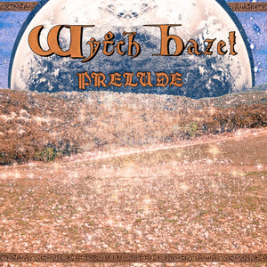 Freedom Battle cover