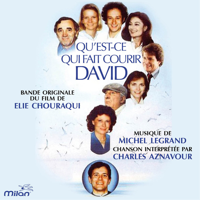 Qu'est-ce qui fait courir David ? (Bande Originale du Film) Albumcover
