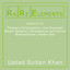 RaRe Elements - Ustad Sultan Khan Remixes Albumcover