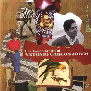 The Warm World Of Antonio Carlos Jobim album