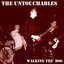 Walking The Dog cover