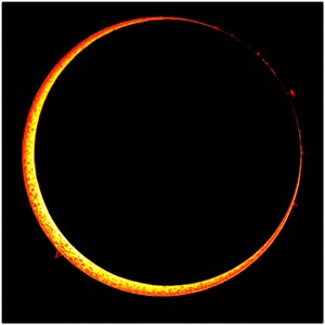 The Eclipse (Lp) Albumcover