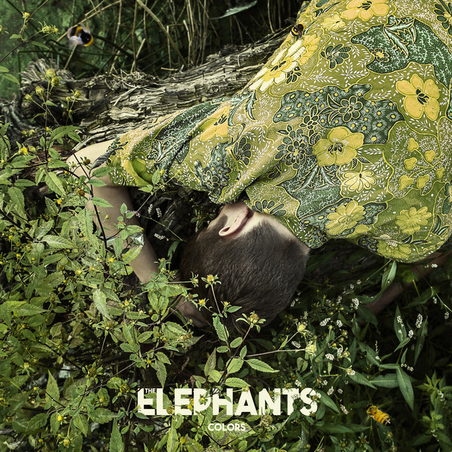 The Elephants Photo