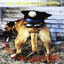 Hey Cop!!! If I Had a Face Like Yours... cover