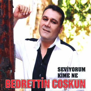 Seviyorum Kime Ne Albumcover