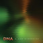 A New Dimension cover