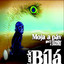 Moja a pav cover