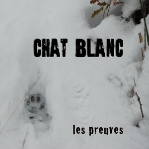 Chat Blanc