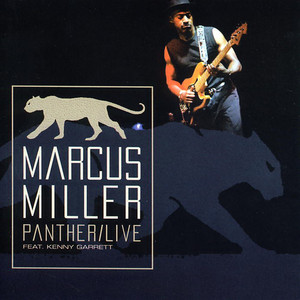 Panther (feat. Kenny Garrett) [Live] cover