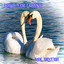 Music for Loving Albumcover
