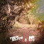 IV cover