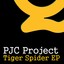 Tiger Spider EP Albumcover