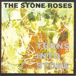 Turns Into Stone album