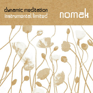 Dynamic Meditation Instrumental Limited cover