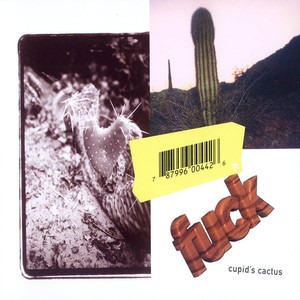 Cupid's Cactus cover