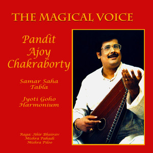 The Magical Voice cover