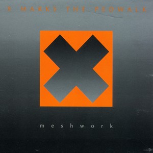 Meshwork Albumcover