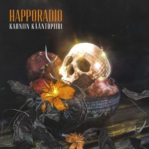 Kauniin kääntöpiiri cover
