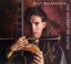 The Archery Of Guitar cover