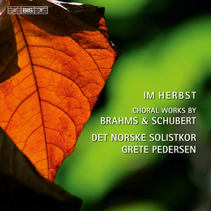 Schubert & Brahms cover
