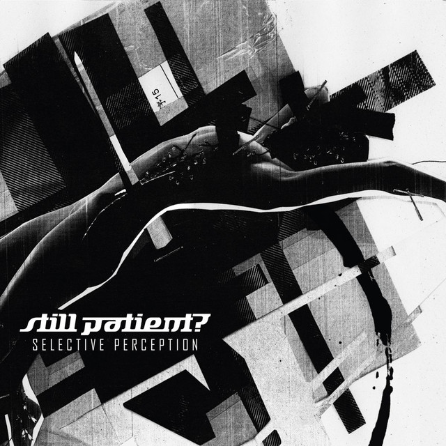 Selective Perception cover