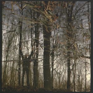 Bannwald cover