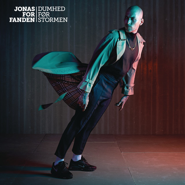 Dumhed Før Stormen Albumcover