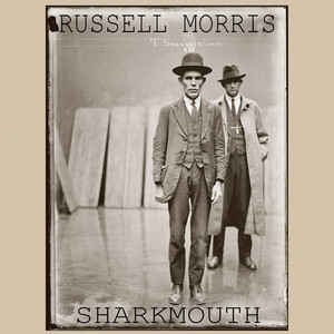 Sharkmouth cover