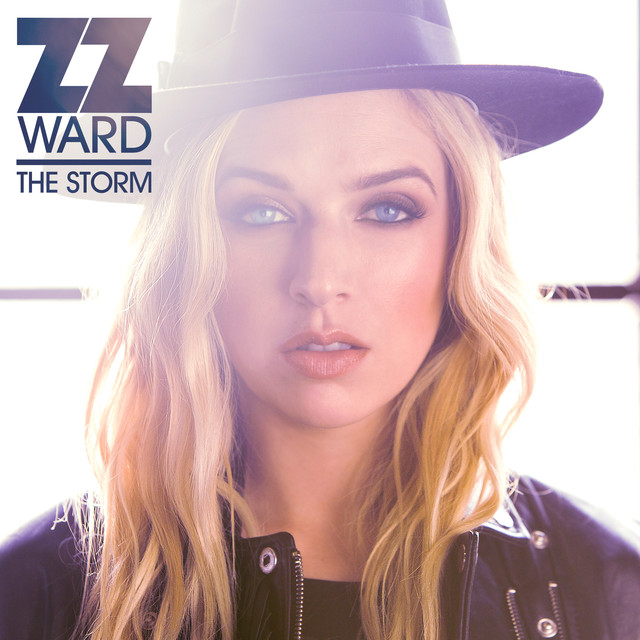 The Storm cover