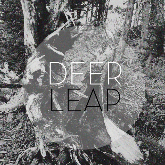 Here. Home. cover