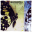 The Butterfly Effect cover