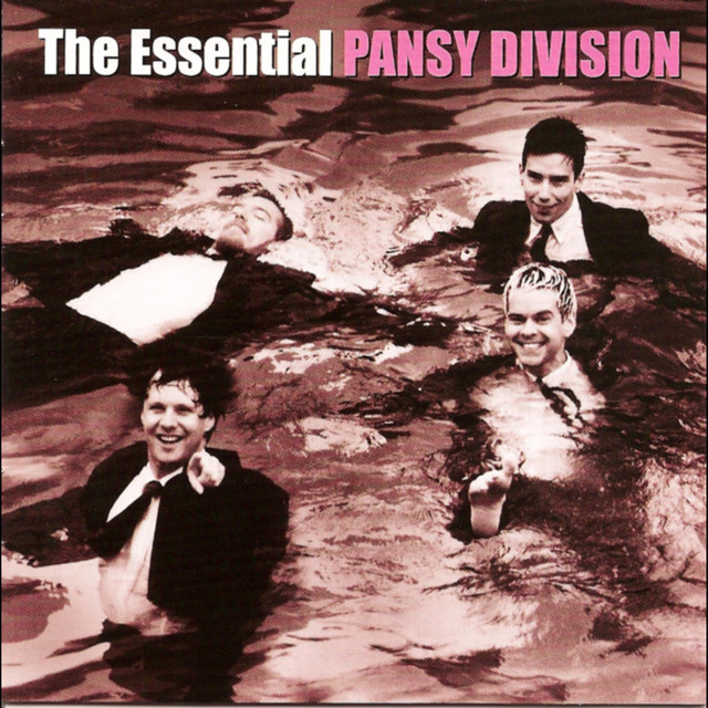 The Essential Pansy Division cover