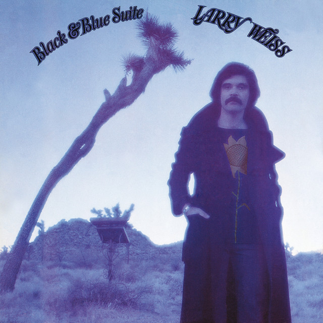 Black And Blue Suite cover