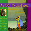 Kadonneen Saaren Laulukirja Albumcover