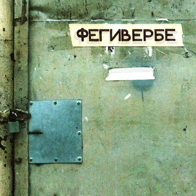 Порез на собаке Photo