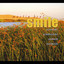 Smile Albumcover
