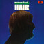 Hair cover
