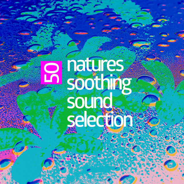 50 Natures Soothing Sound Selection