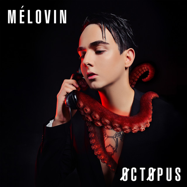 Octopus cover