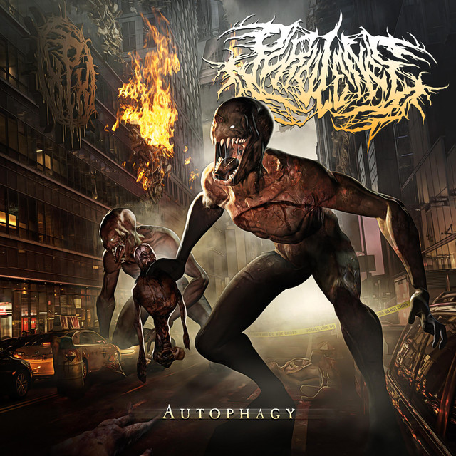 Purulence Photo