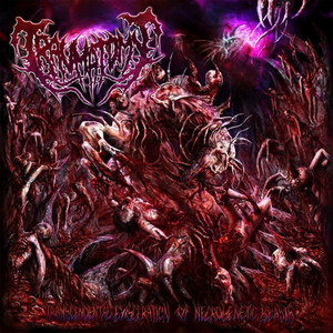 Intro cover