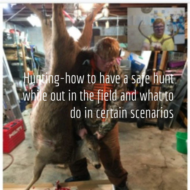 Hunting-how to have a safe hunt while out in the field and what to do ...