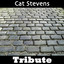 Wild World: Tribute To Cat Stevens Albumcover