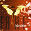 Fake cover