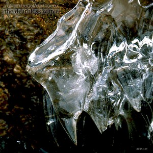 The Deathless Water Acts I-Iv Albumcover